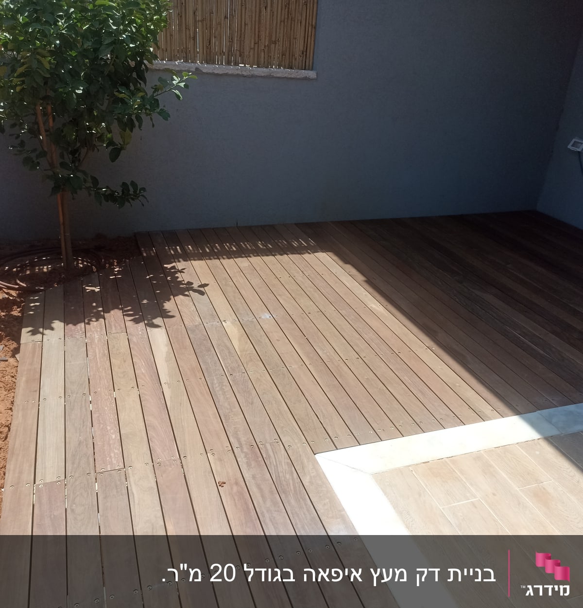 דק עץ בגינה עם עץ קטן בצד